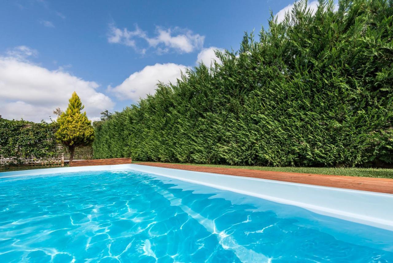 Apartment Coastal Dreamy Retreat, Dive In Dimitra's Paradise *